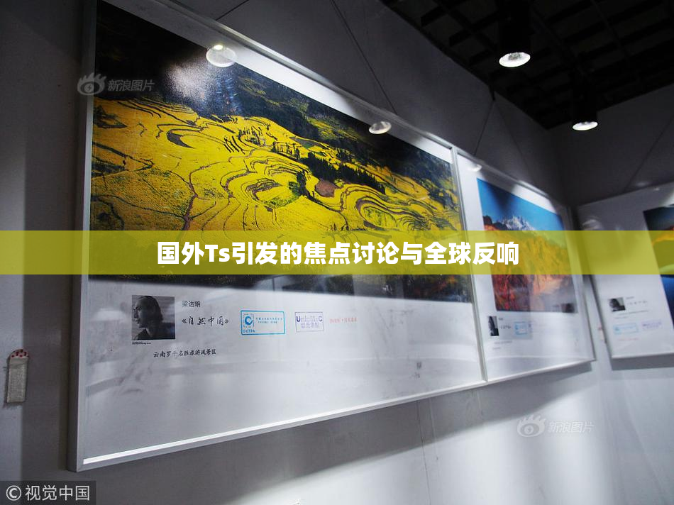 国外Ts引发的焦点讨论与全球反响