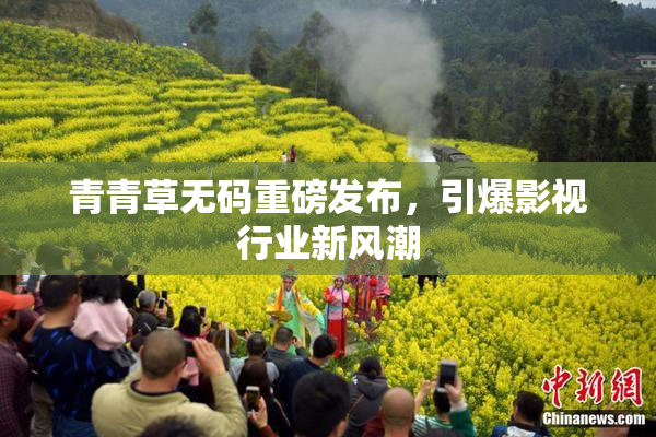 青青草无码重磅发布，引爆影视行业新风潮