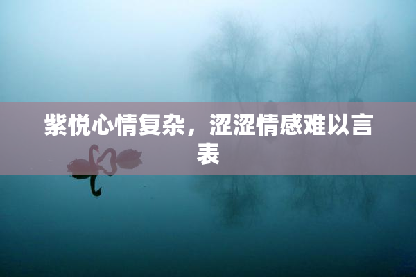 紫悦心情复杂，涩涩情感难以言表