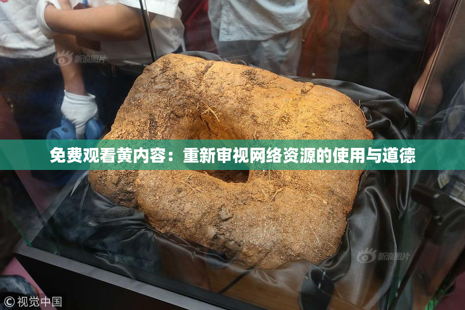 免费观看黄内容：重新审视网络资源的使用与道德