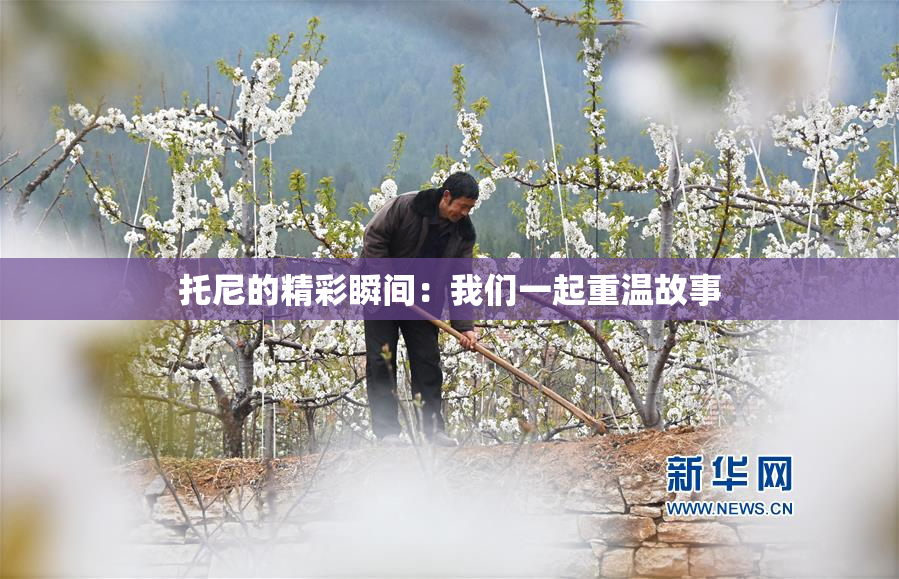 托尼的精彩瞬间：我们一起重温故事