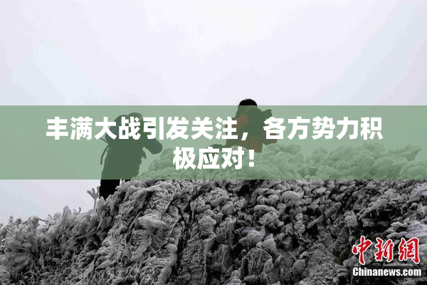 丰满大战引发关注，各方势力积极应对！