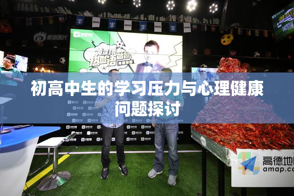 初高中生的学习压力与心理健康问题探讨
