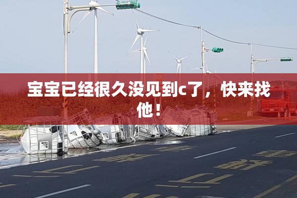 宝宝已经很久没见到c了，快来找他！
