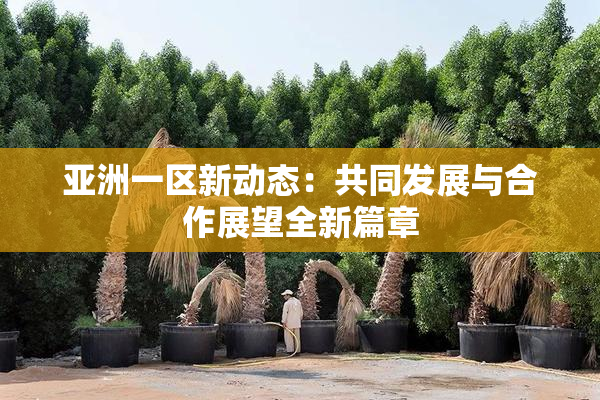 亚洲一区新动态：共同发展与合作展望全新篇章