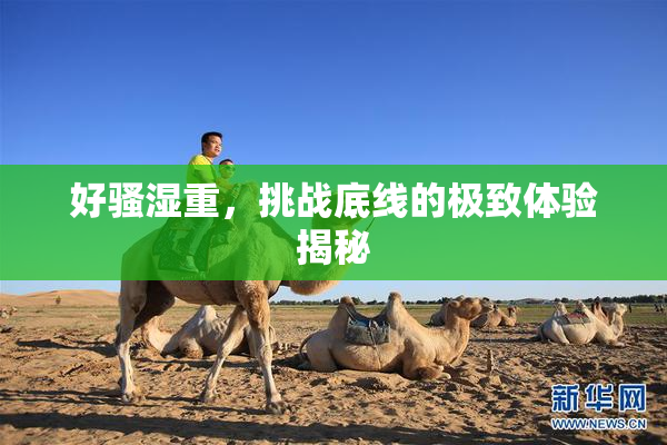 好骚湿重，挑战底线的极致体验揭秘