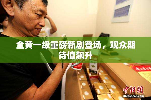 全黄一级重磅新剧登场，观众期待值飙升
