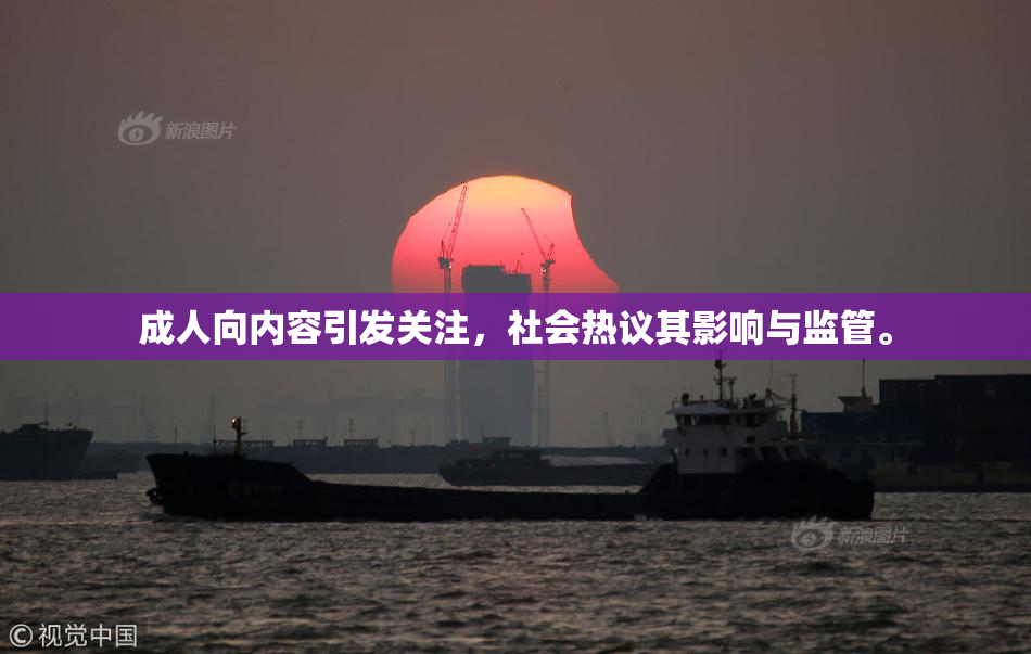 成人向内容引发关注，社会热议其影响与监管。