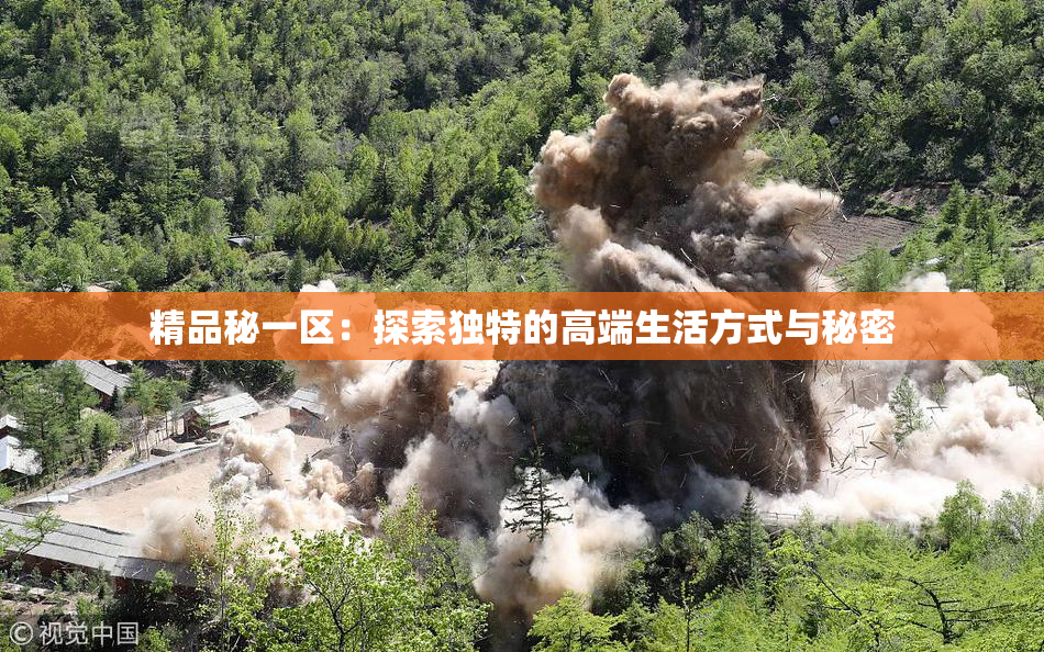 精品秘一区：探索独特的高端生活方式与秘密