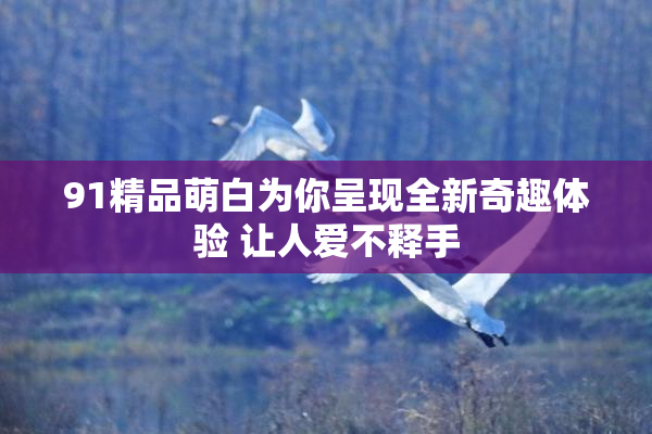 91精品萌白为你呈现全新奇趣体验 让人爱不释手