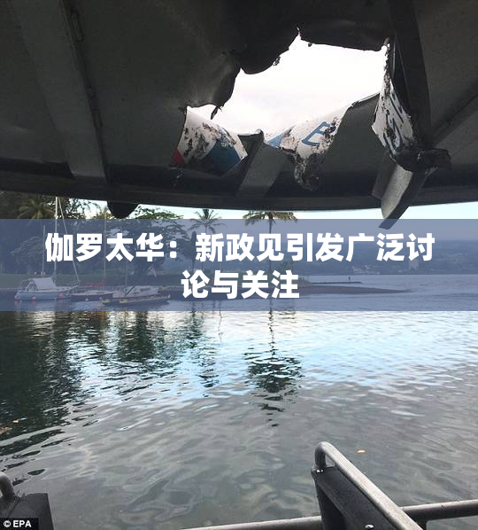 伽罗太华：新政见引发广泛讨论与关注