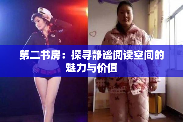 第二书房：探寻静谧阅读空间的魅力与价值