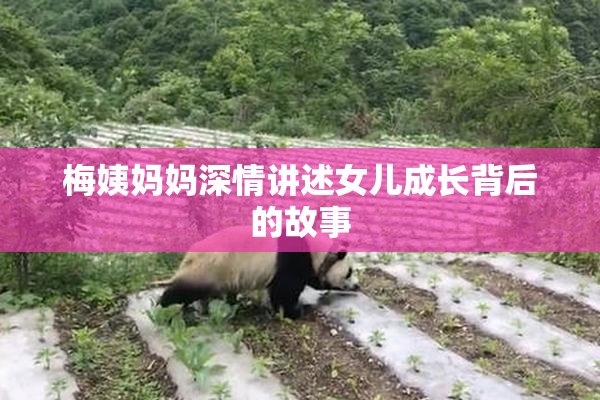 梅姨妈妈深情讲述女儿成长背后的故事