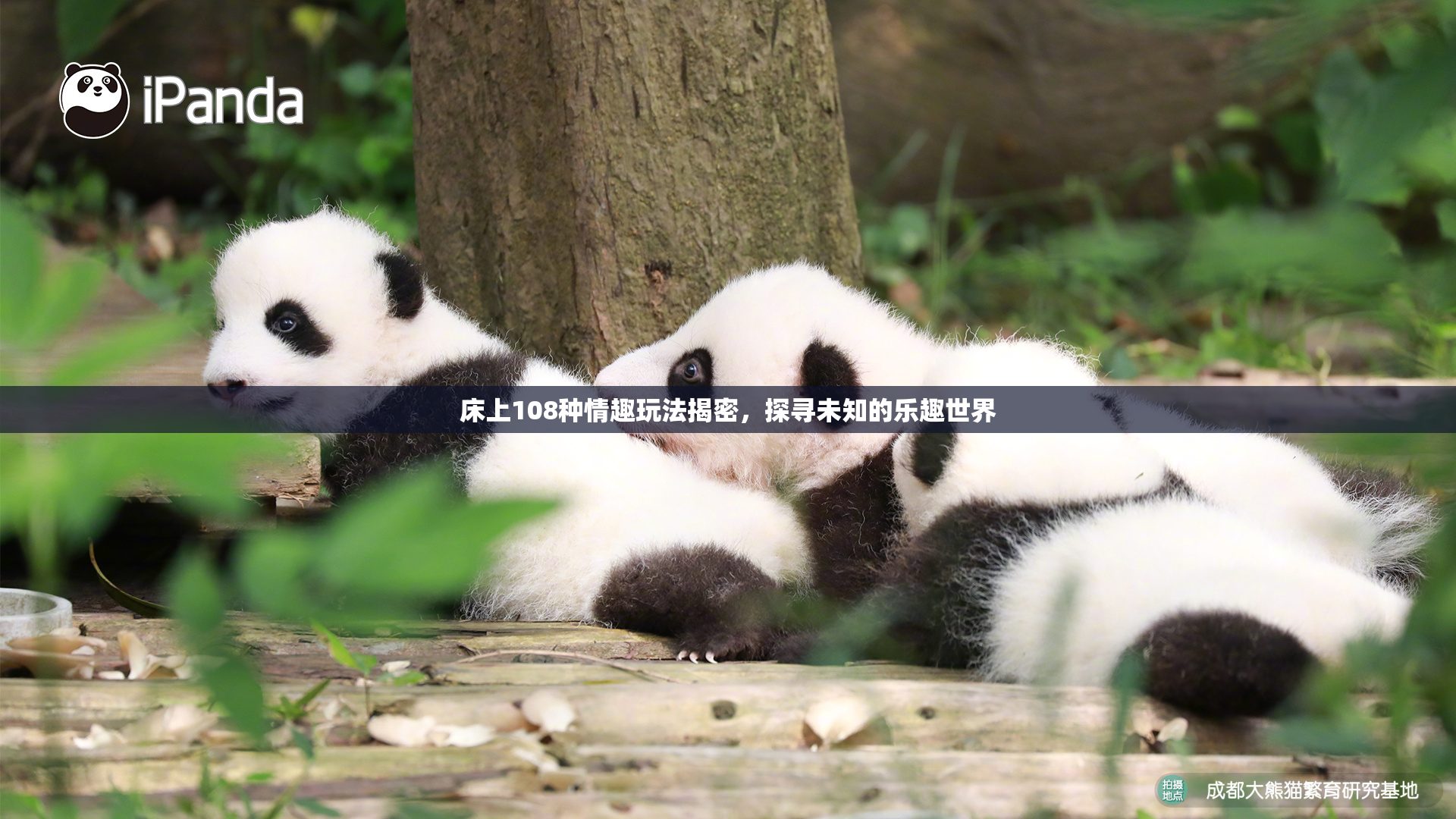 床上108种情趣玩法揭密，探寻未知的乐趣世界
