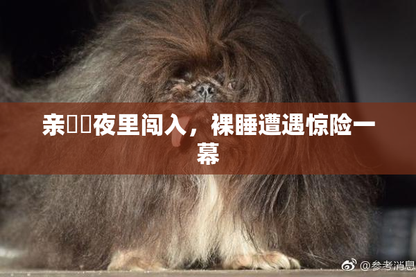 亲妺妺夜里闯入，裸睡遭遇惊险一幕