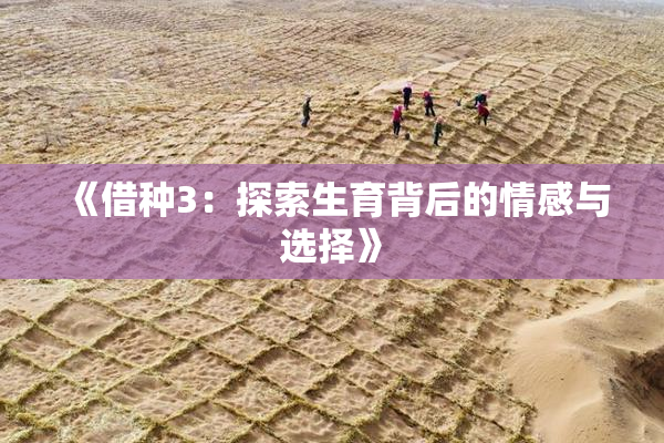 《借种3：探索生育背后的情感与选择》