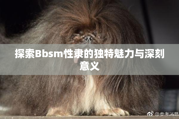 探索Bbsm性隶的独特魅力与深刻意义