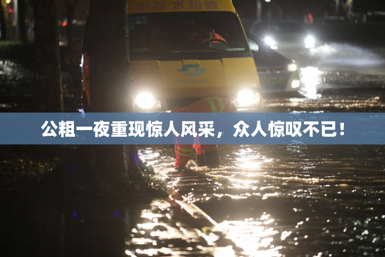 公粗一夜重现惊人风采，众人惊叹不已！