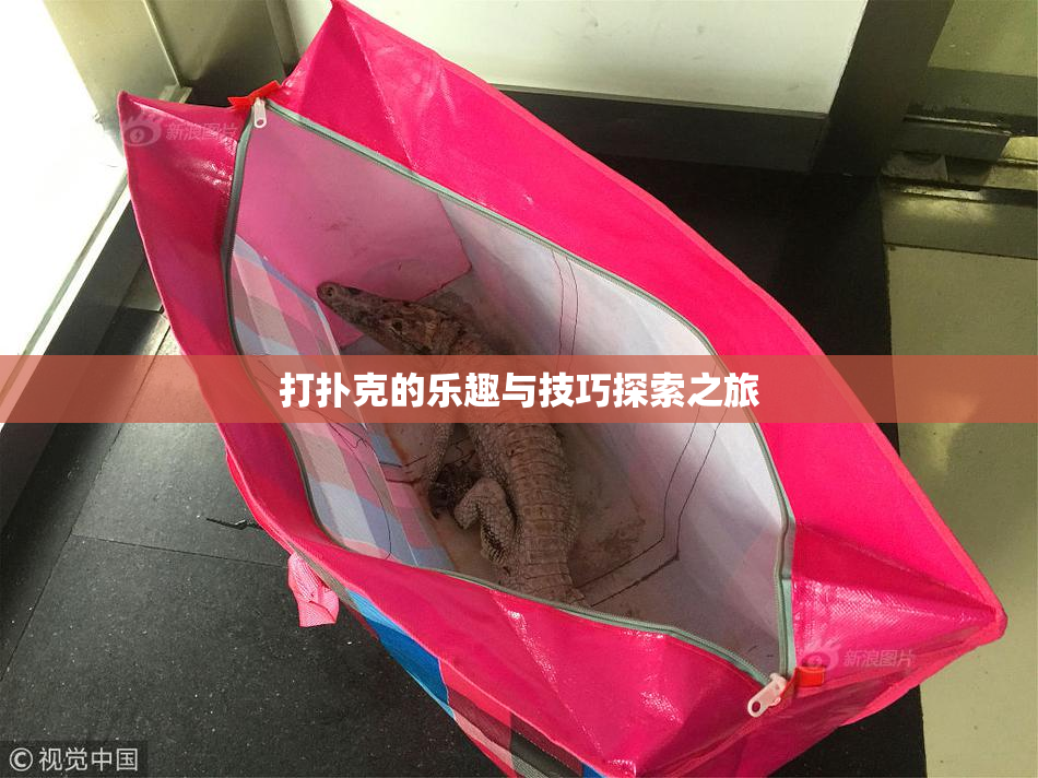 打扑克的乐趣与技巧探索之旅