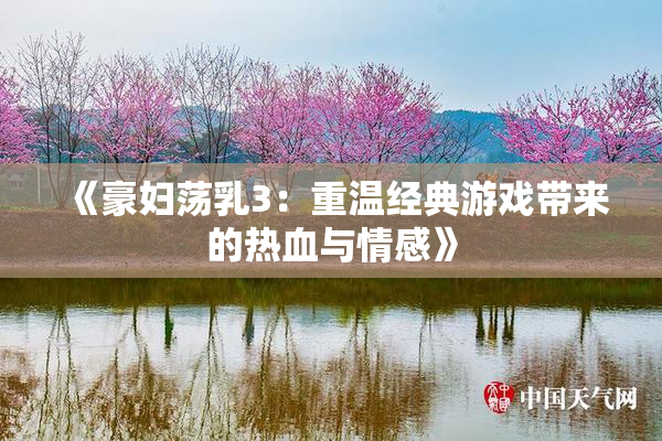 《豪妇荡乳3：重温经典游戏带来的热血与情感》