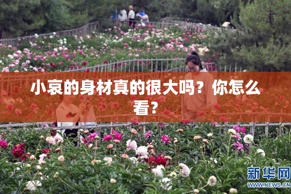 小哀的身材真的很大吗？你怎么看？