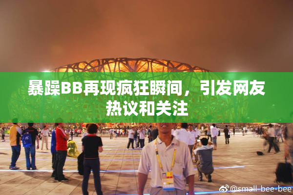 暴躁BB再现疯狂瞬间，引发网友热议和关注