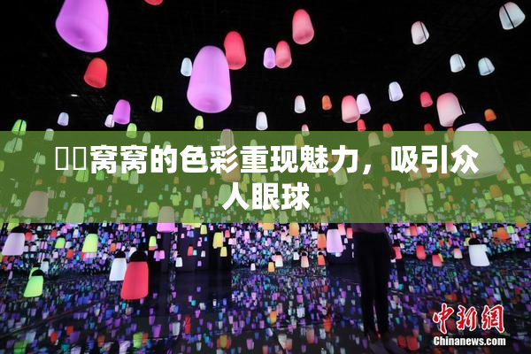 妺妺窝窝的色彩重现魅力，吸引众人眼球