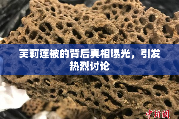 芙莉莲被的背后真相曝光，引发热烈讨论