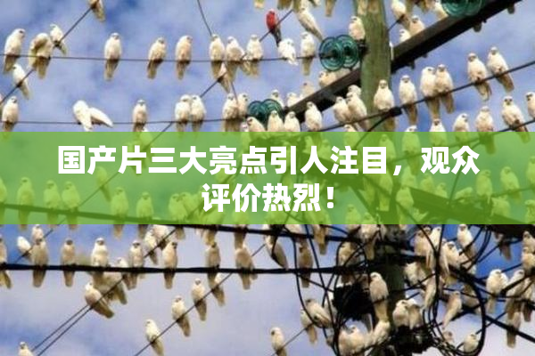 国产片三大亮点引人注目，观众评价热烈！