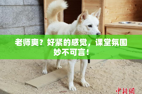 老师爽？好紧的感觉，课堂氛围妙不可言！