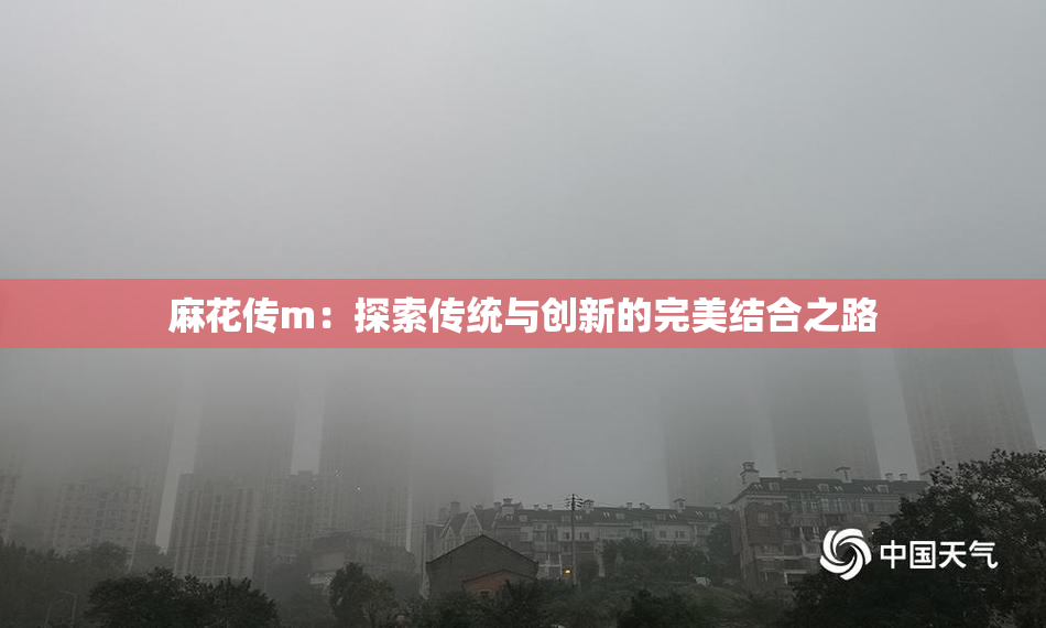 麻花传m：探索传统与创新的完美结合之路