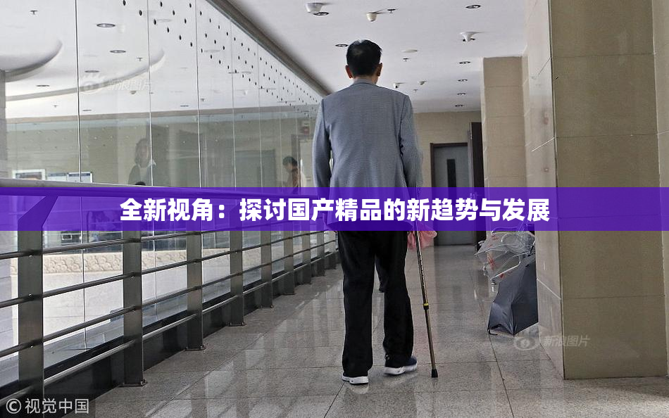 全新视角：探讨国产精品的新趋势与发展