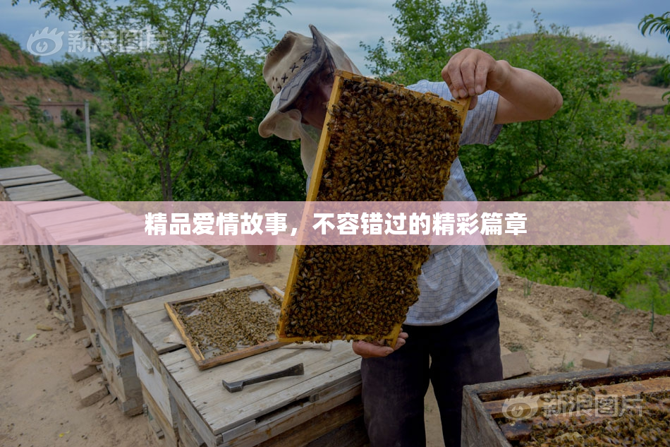精品爱情故事，不容错过的精彩篇章