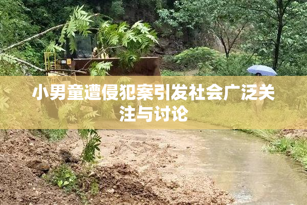 小男童遭侵犯案引发社会广泛关注与讨论