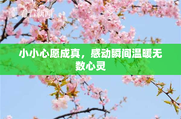 小小心愿成真，感动瞬间温暖无数心灵