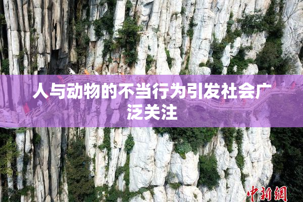 人与动物的不当行为引发社会广泛关注