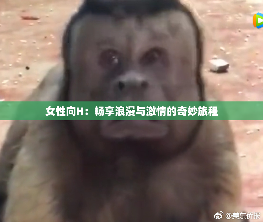 女性向H：畅享浪漫与激情的奇妙旅程