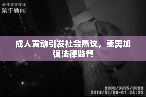 成人黄动引发社会热议，亟需加强法律监管
