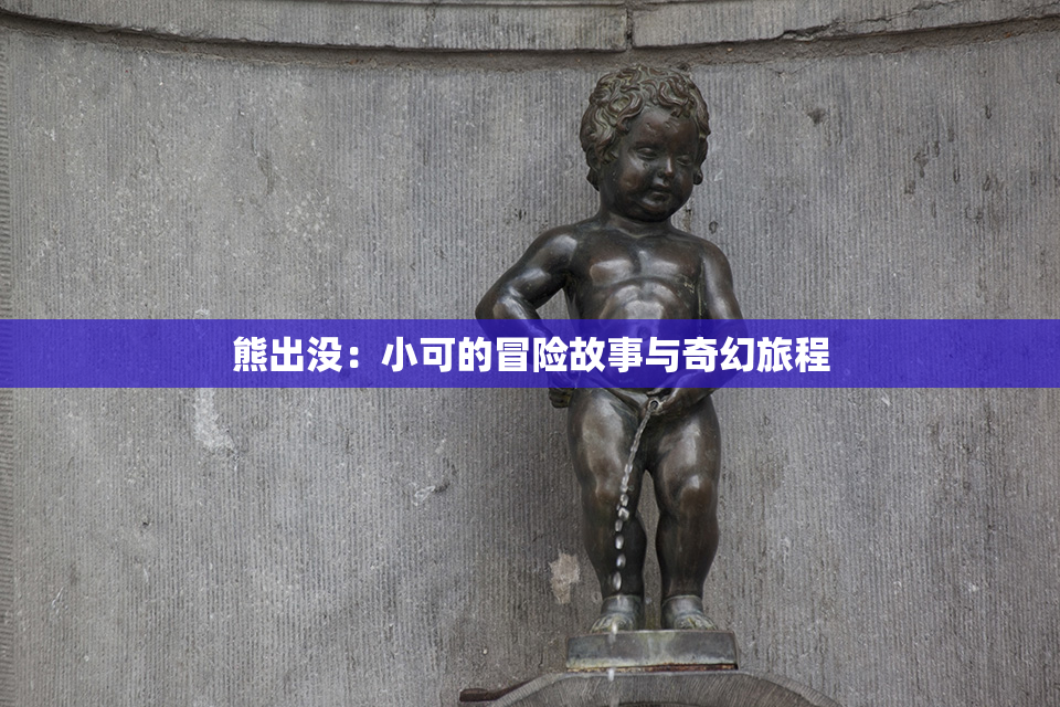 熊出没：小可的冒险故事与奇幻旅程