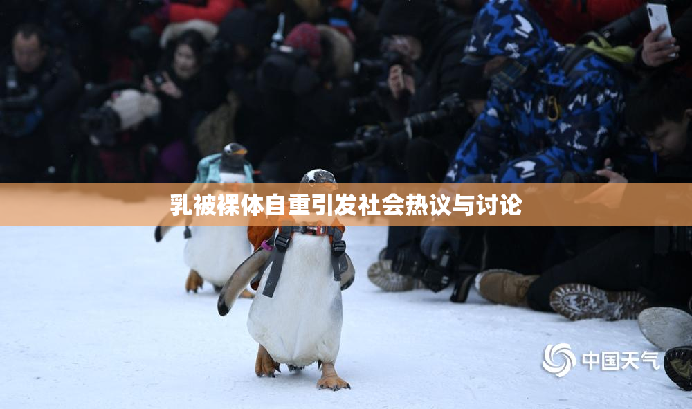 乳被裸体自重引发社会热议与讨论
