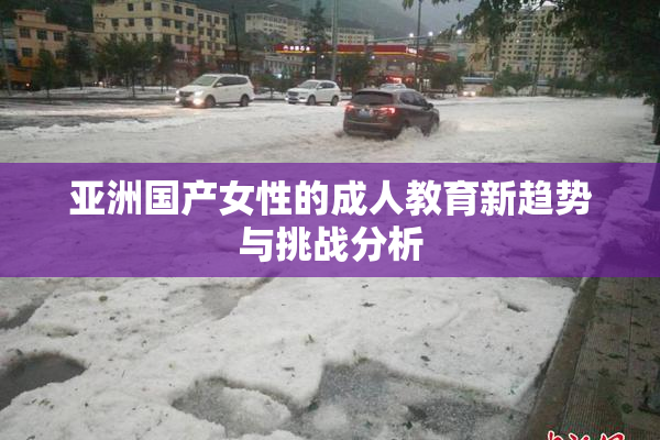 亚洲国产女性的成人教育新趋势与挑战分析