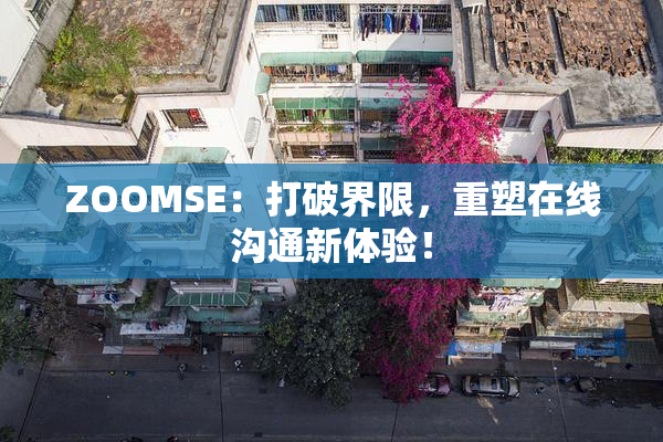 ZOOMSE：打破界限，重塑在线沟通新体验！
