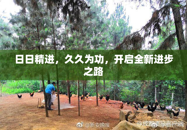 日日精进，久久为功，开启全新进步之路