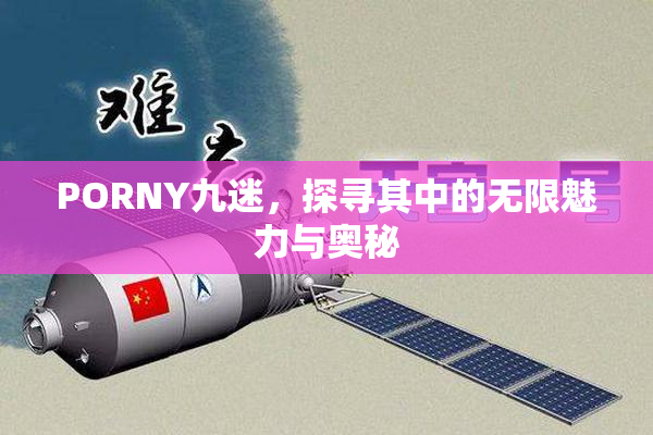 PORNY九迷，探寻其中的无限魅力与奥秘