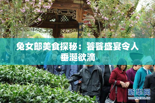 兔女郎美食探秘：饕餮盛宴令人垂涎欲滴