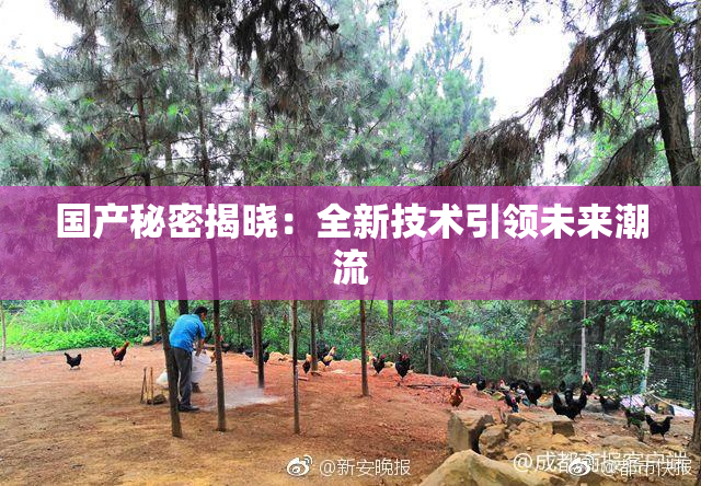 国产秘密揭晓：全新技术引领未来潮流