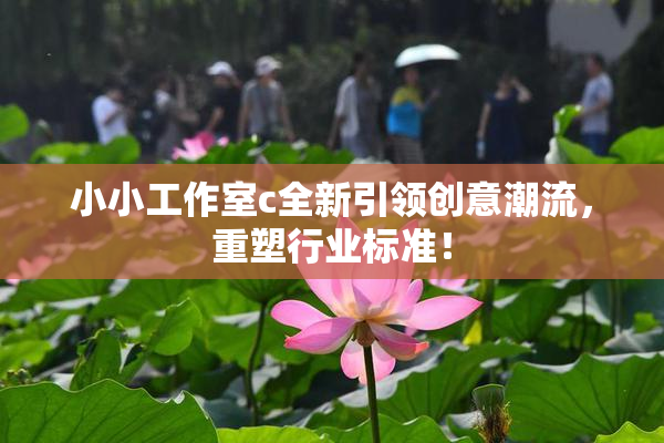 小小工作室c全新引领创意潮流，重塑行业标准！