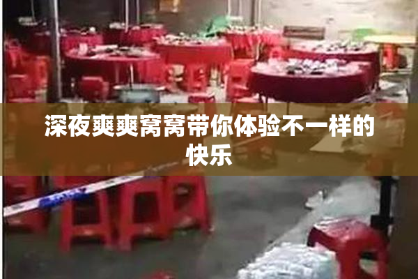 深夜爽爽窝窝带你体验不一样的快乐