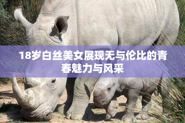 18岁白丝美女展现无与伦比的青春魅力与风采