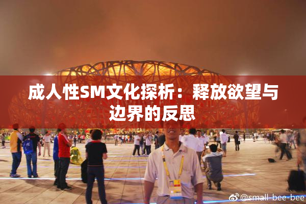 成人性SM文化探析：释放欲望与边界的反思